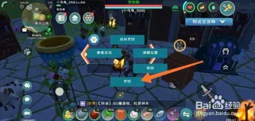 创造与魔法清蒸小童子鸡怎么做-清蒸小童子鸡制作流程