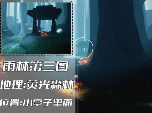 光遇最新雨林神庙冥想五大位置在哪