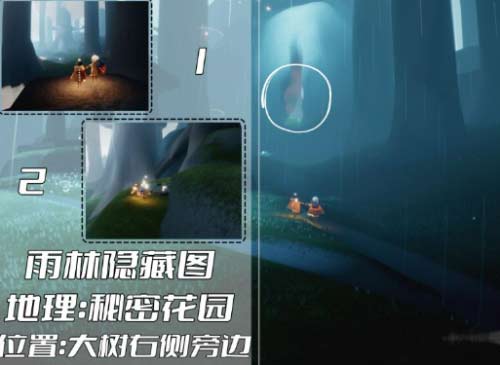 光遇最新雨林神庙冥想五大位置在哪