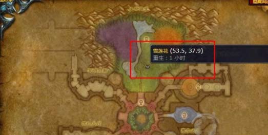 魔兽世界雪莲花到哪里采集-雪莲花刷新点位及作用介绍