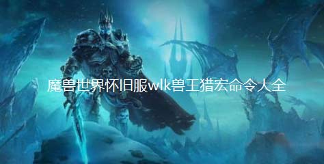 魔兽世界兽王猎常用宏有哪些-wlk兽王猎宏命令大全