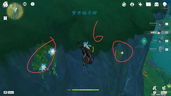 原神纳西妲突破材料一览,草神纳西妲养成攻略(详细图文)