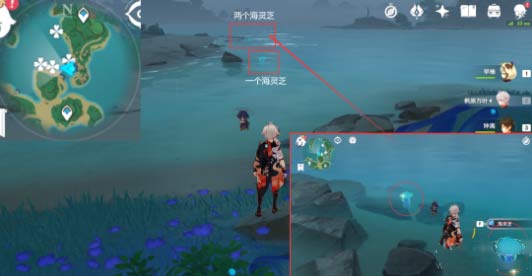 原神海灵芝哪里最多-海灵芝快速采集路线图文攻略