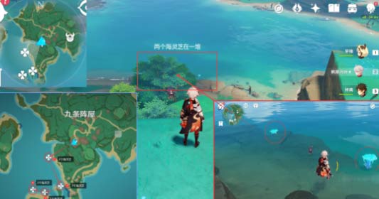 原神海灵芝哪里最多-海灵芝快速采集路线图文攻略