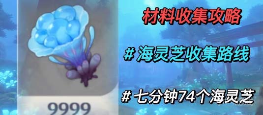 原神海灵芝哪里最多-海灵芝快速采集路线图文攻略
