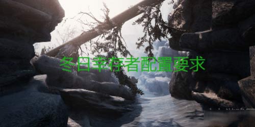 冬日幸存者PC版最低配置要求(图文)