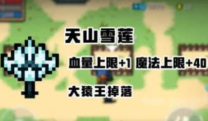元气骑士天山雪莲是永久吗,天山雪莲作用与功效详解