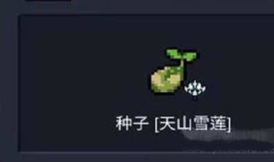 元气骑士天山雪莲是永久吗,天山雪莲作用与功效详解