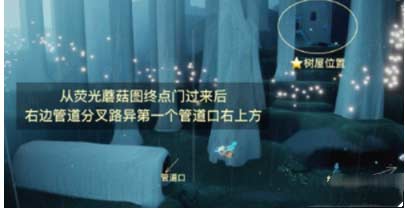 光遇集结季先祖在哪-六位集结季先祖位置分布