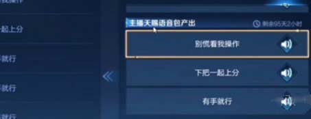 王者荣耀语音包怎么用-语音包获取及使用方法