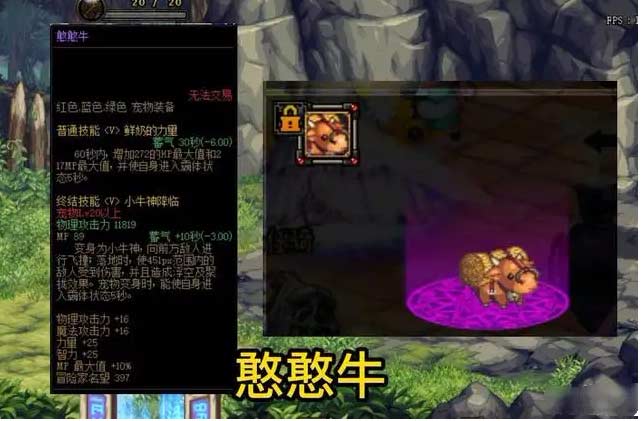 DNF宠物都有哪些-2022最新宠物大全一览