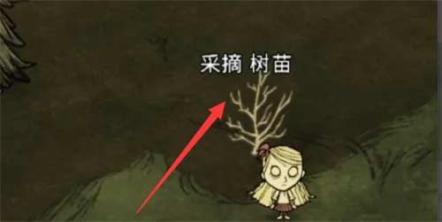 饥荒捕虫网怎么合成
