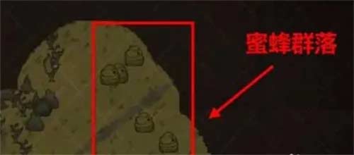 饥荒蜜蜂怎么捕捉