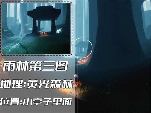 光遇雨林冥想在哪