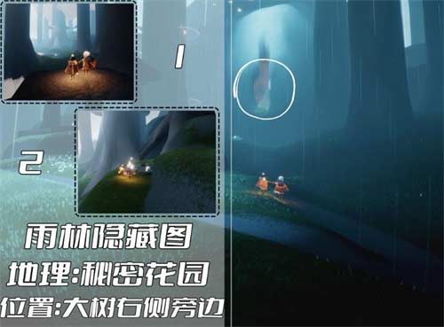 光遇雨林冥想在哪