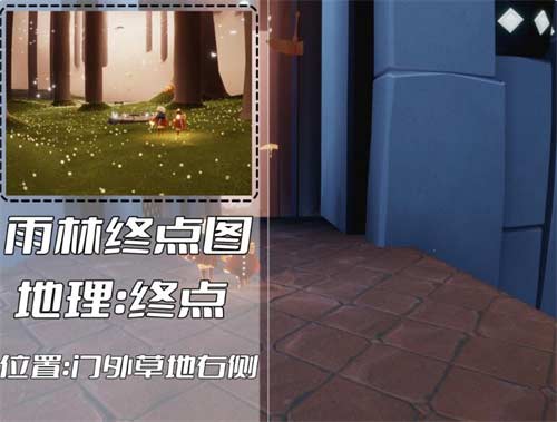 光遇雨林冥想在哪