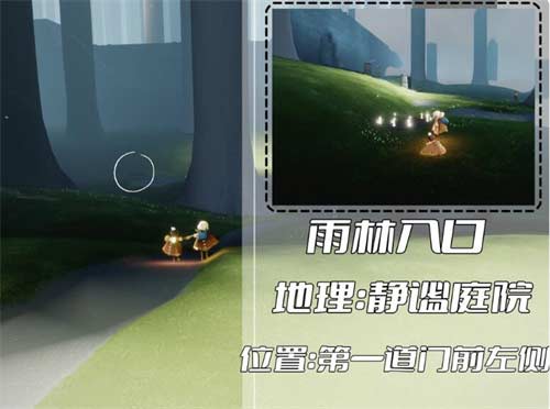 光遇雨林冥想在哪