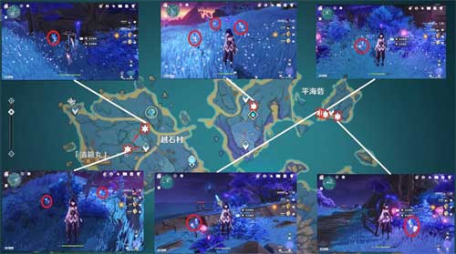 原神天云草实采集路线图 天云草实位置在哪