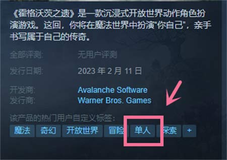 霍格沃茨之遗可以联机吗 游戏类型介绍