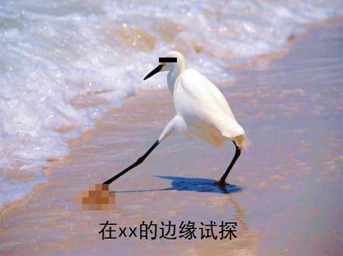 去年《原神》之外的二次元游戏到底分了多少蛋糕？