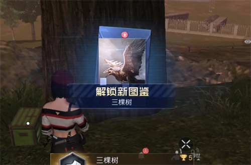 黎明觉醒生机宝箱位置在哪 三颗树宝藏位置介绍