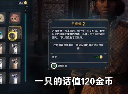 霍格沃茨遗产怎么快速挣钱 游戏挣钱攻略