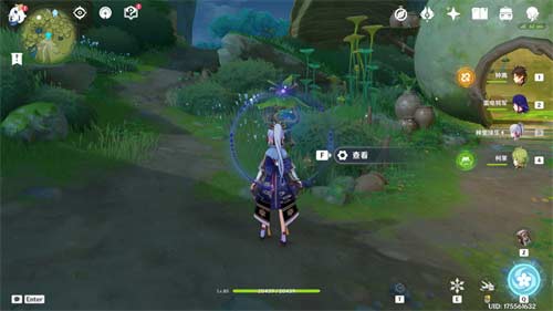 原神森林书神秘的剪贴簿11张风景画位置在哪
