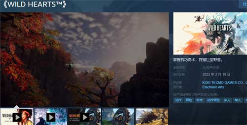 狂野之心在steam上叫什么名字 游戏名称一览