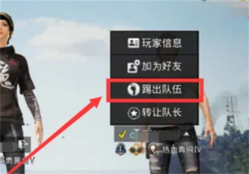 和平精英怎么踢人 踢人步骤详解