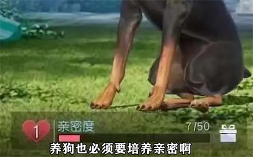 黎明觉醒宠物系统怎么解锁 宠物系统解锁条件一览