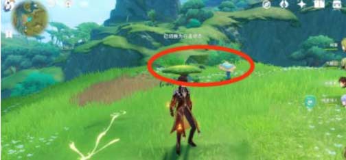 原神护世森秘境怎么解锁-护世森秘境开启教程