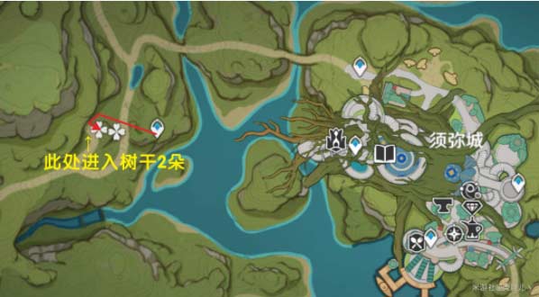 原神树王圣体菇购买及采集路线位置在哪