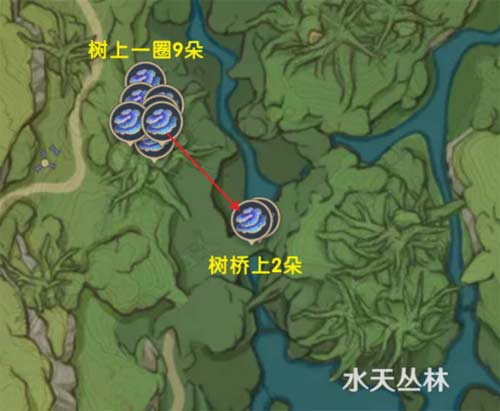 原神树王圣体菇购买及采集路线位置在哪
