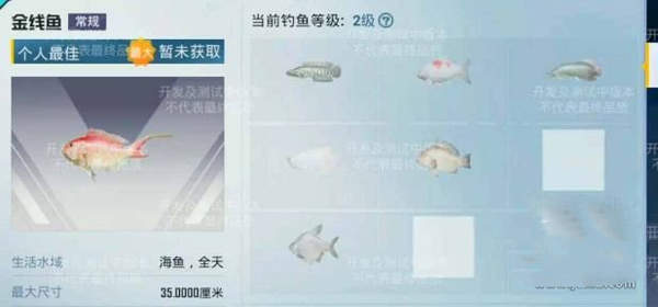和平精英绿洲世界垂钓等级提升方法