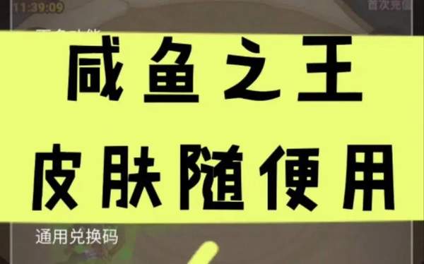 咸鱼之王皮肤永久有效激活码大全