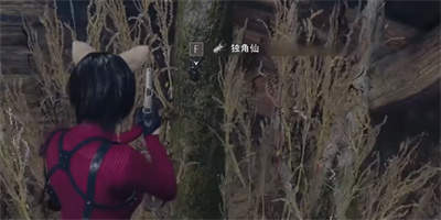 生化危机4重制版独角仙位置一览
