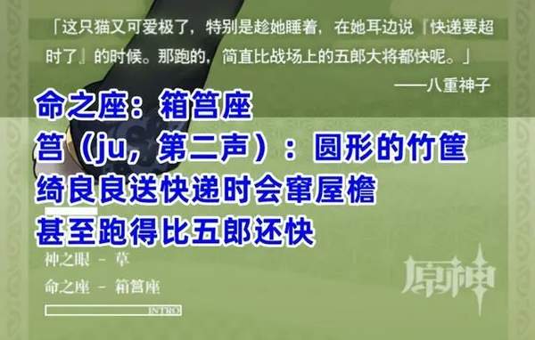 原神新角色绮良良介绍