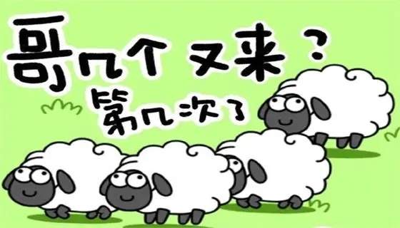 羊了个羊羊羊大世界3月13日通关攻略