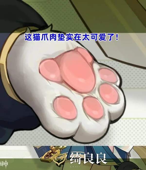 原神新角色绮良良介绍