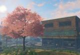 明日之后末世樱花季与白色情人节详解[图]