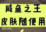 咸鱼之王皮肤永久有效激活码大全[图]