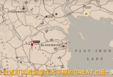 荒野大镖客2美洲狮必刷位置一览[图]