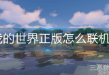 我的世界电脑正版怎么联机-电脑正版联机方法介绍