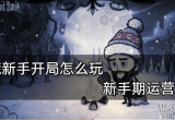 饥荒新手开局怎么玩 分享3点新手前期运营攻略