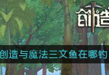 创造与魔法在哪钓三文鱼(钓三文鱼几率最大的位置)