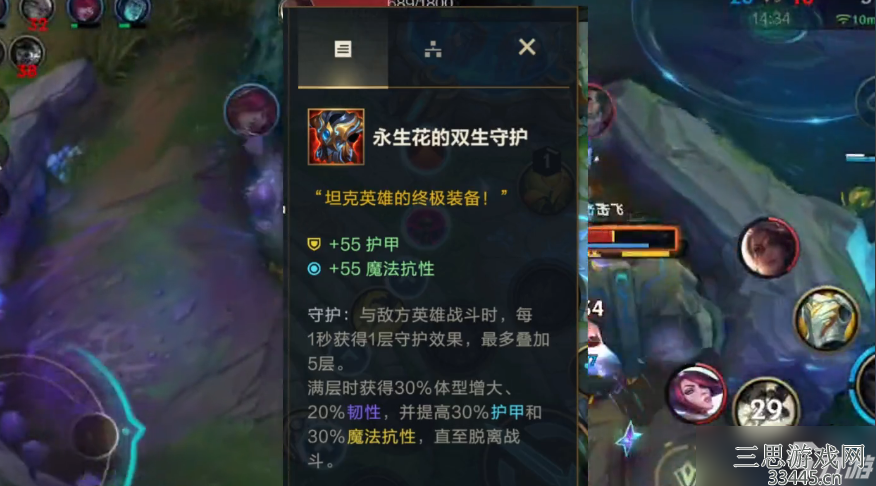 英雄联盟手游永生花的双生守护有什么效果