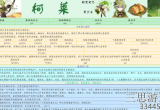原神柯莱值得培养吗(柯莱全方位培养思路指南)