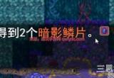 泰拉瑞亚暗影鳞片怎么获得-暗影鳞片作用及合成方法