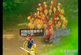 梦幻西游摇钱树怎么种-摇钱树种植方法和注意事项