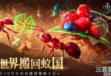 小小蚁国兵种怎么搭配-蚂蚁兵种的克制关系详解